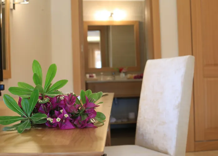 酒店 Loryma Luxury 博兹布伦